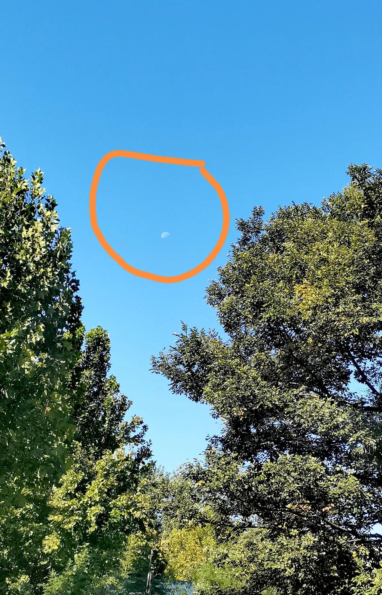月亮🌙是不是距离
太阳🌞越来越近了呢？
你看今天上午都10点40分了，
月亮
