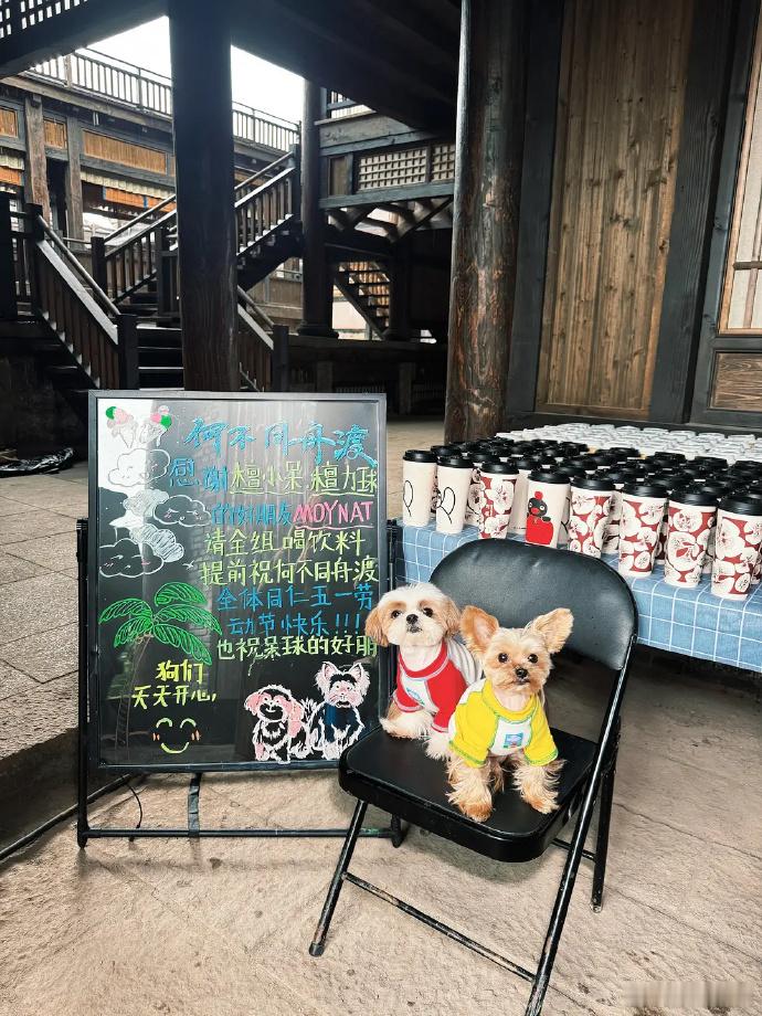 檀健次合作的品牌方MOYNAT来探班了，请《何不同舟渡》全组喝饮料啦，品牌方很珍