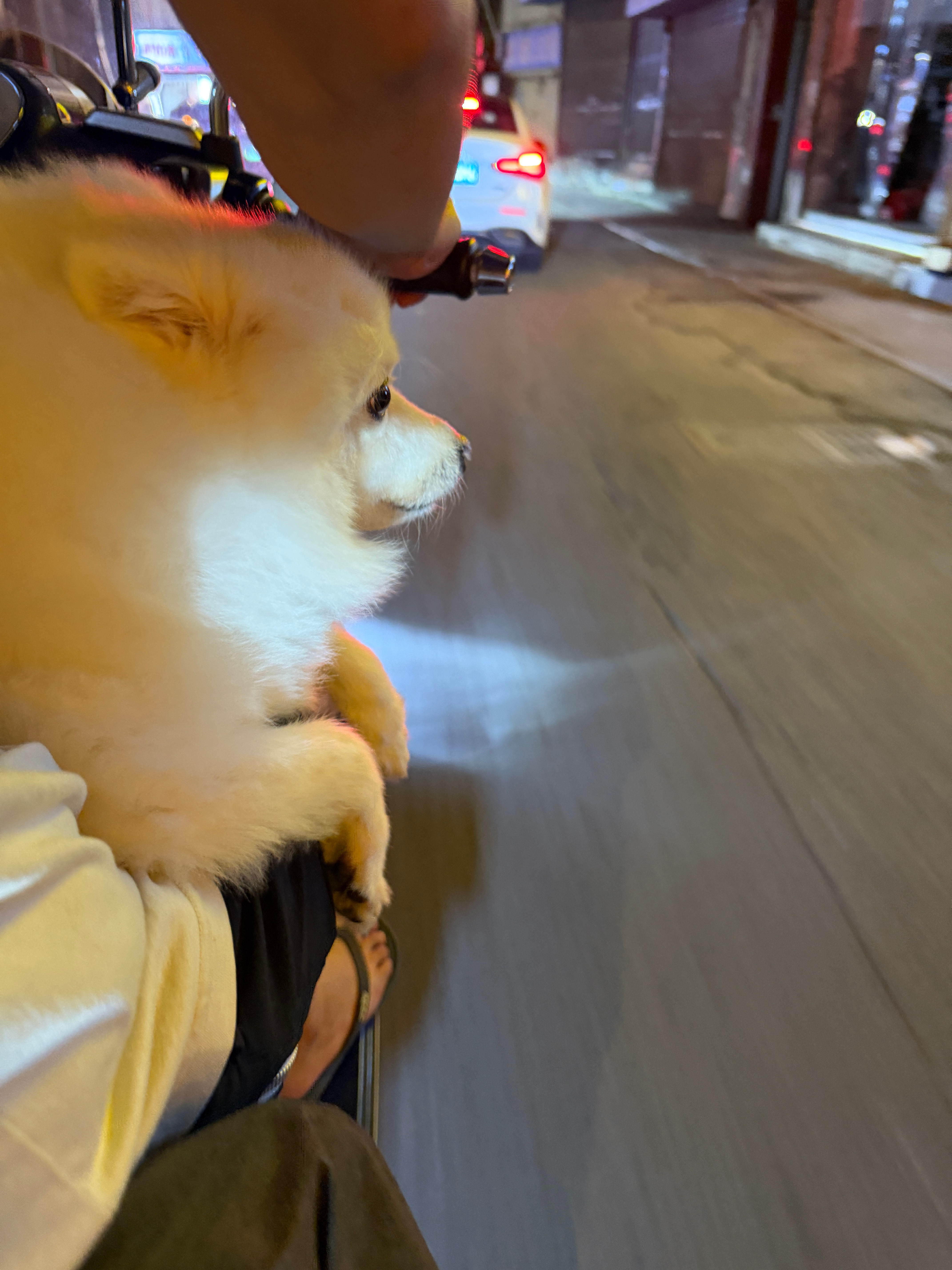 回家可以跟薯条一起饭后兜风耶 ​​​