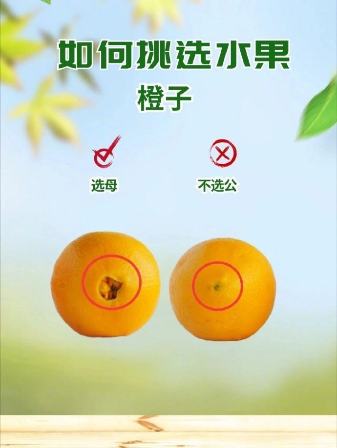 来看看怎么挑选水果，你选对了吗？我的宝藏食谱
