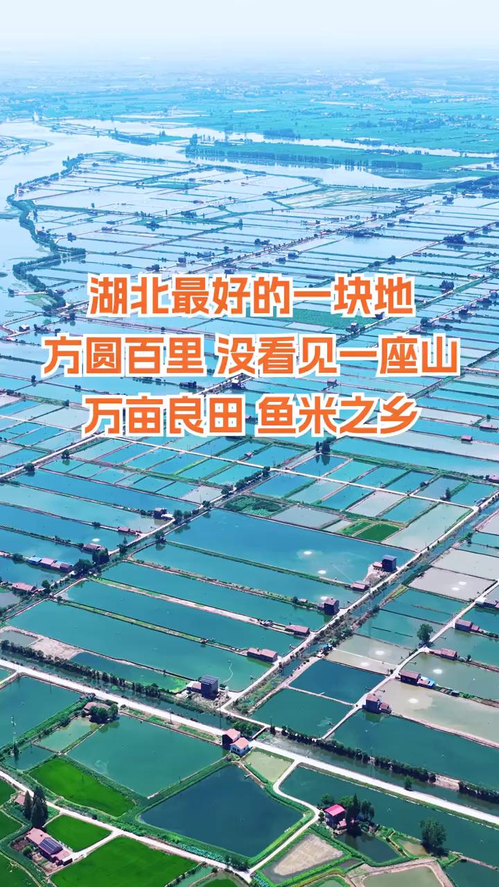 湖北最好的一块地，方圆百里没看见一座山，万亩良田鱼米之乡。