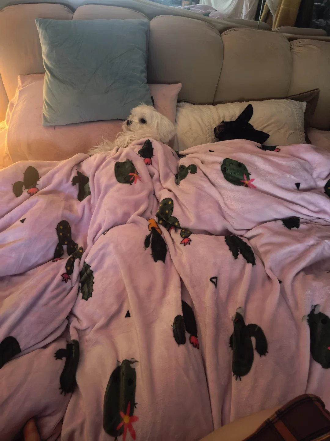 也就是起床上了个厕所而已