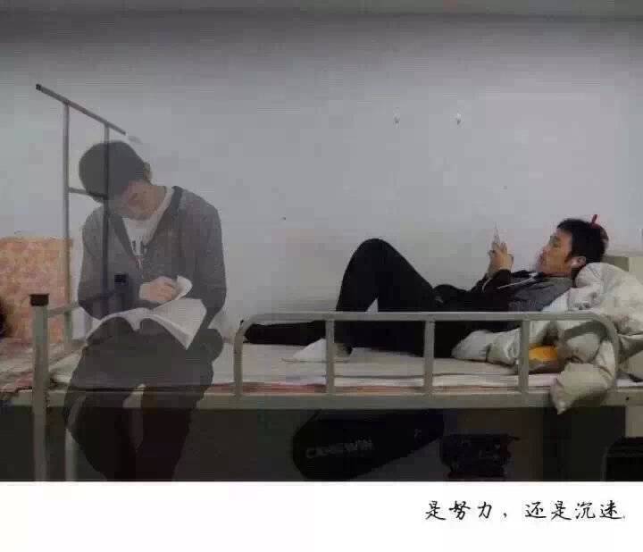 拍的真好 献给所有迷茫的学生[喵喵] ​​​