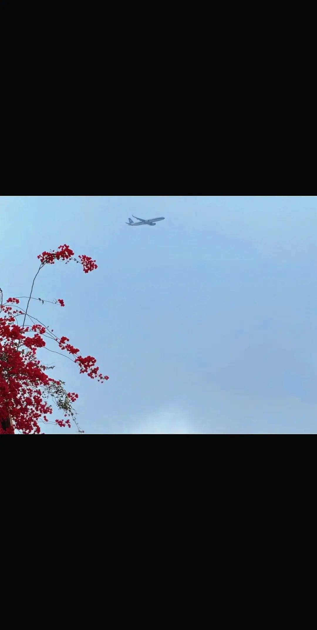 妙手所得，往往都是不期而遇的惊喜。看飞机，有种往前走的感觉飞机