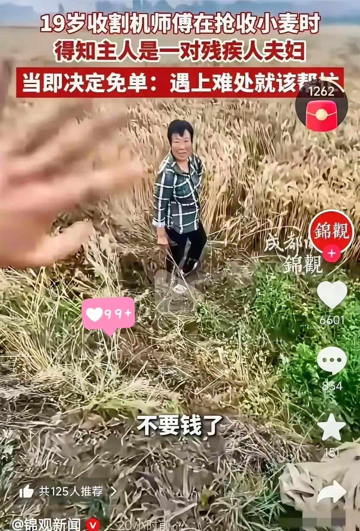 河南南阳，一位来自山东的18岁农机手在作业时，发现麦地女主人全程一言不发，同村大