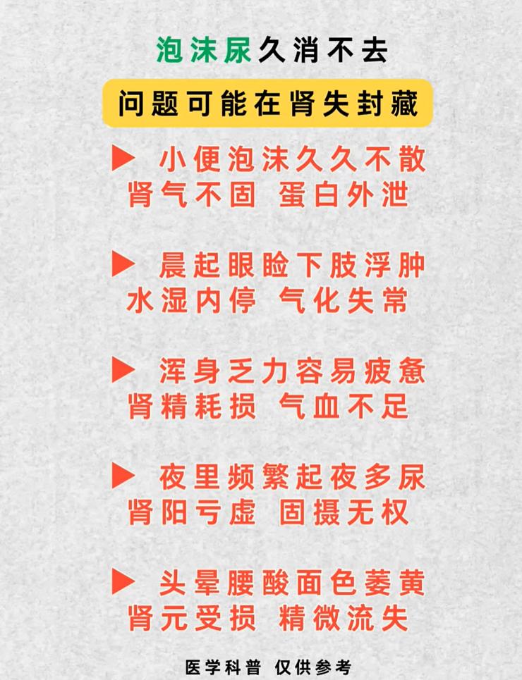 中医认为肾主封藏，肾可以固摄体内精微物质。当肾的封藏功能失常，身体会出现一系列信