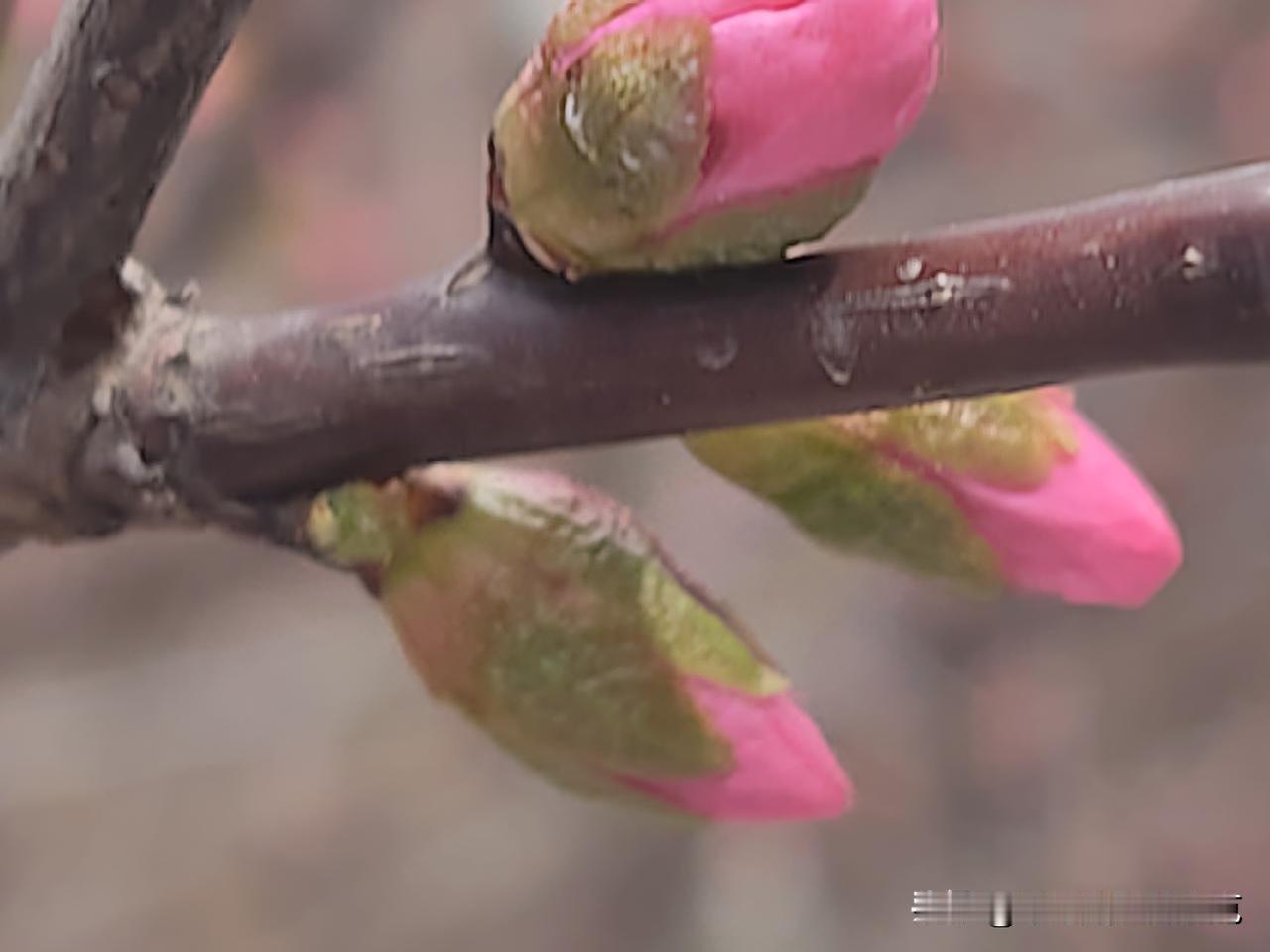 又是崭新的一天
一天好心情
开心就好
工作不重要
开心最重要
今天
你开心吗