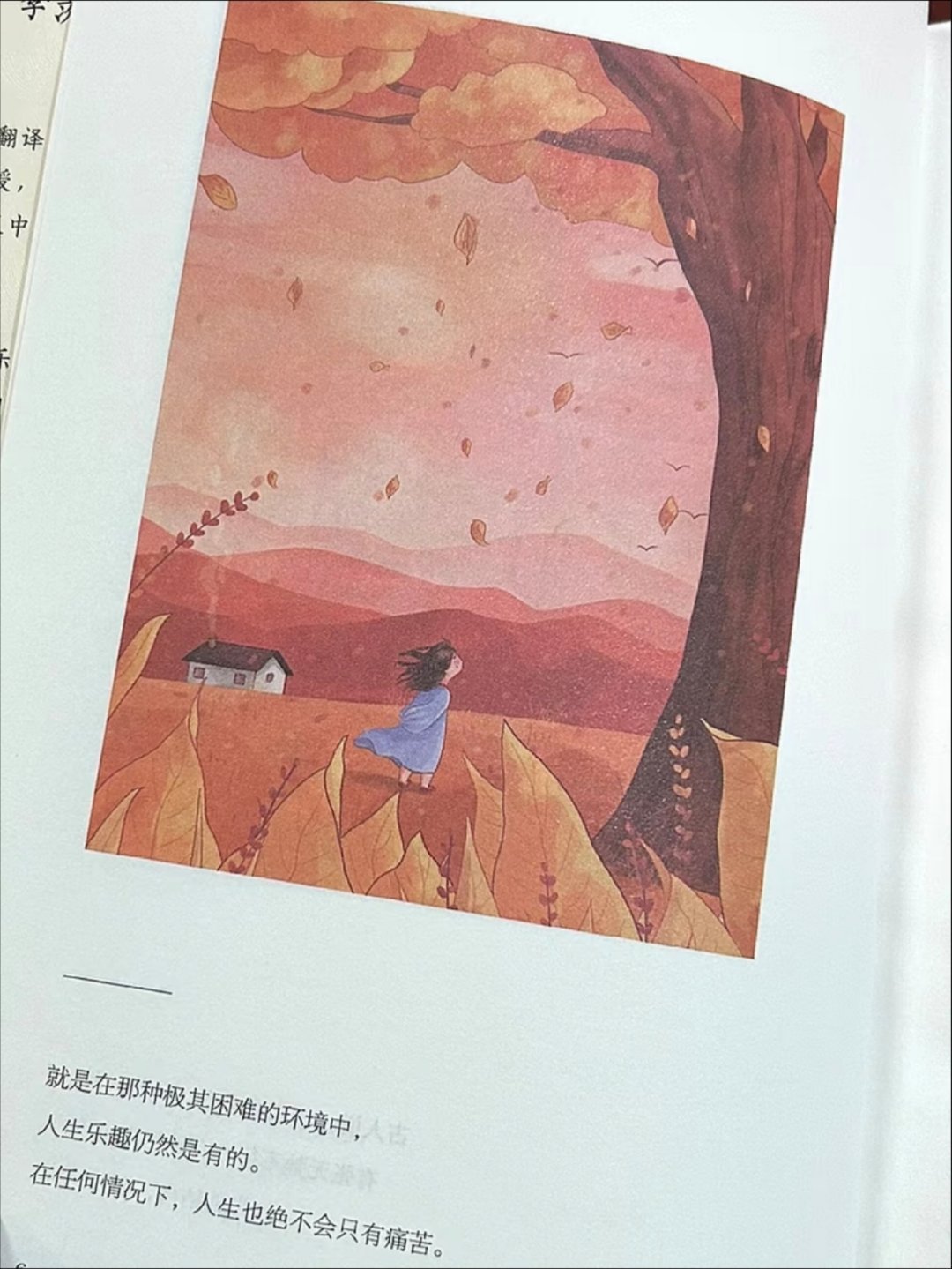 这本书太太太治愈啦！！治好了我的焦虑！ 