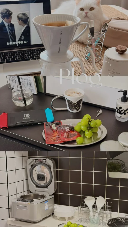 My life|独居日常，宅家幸福感📝