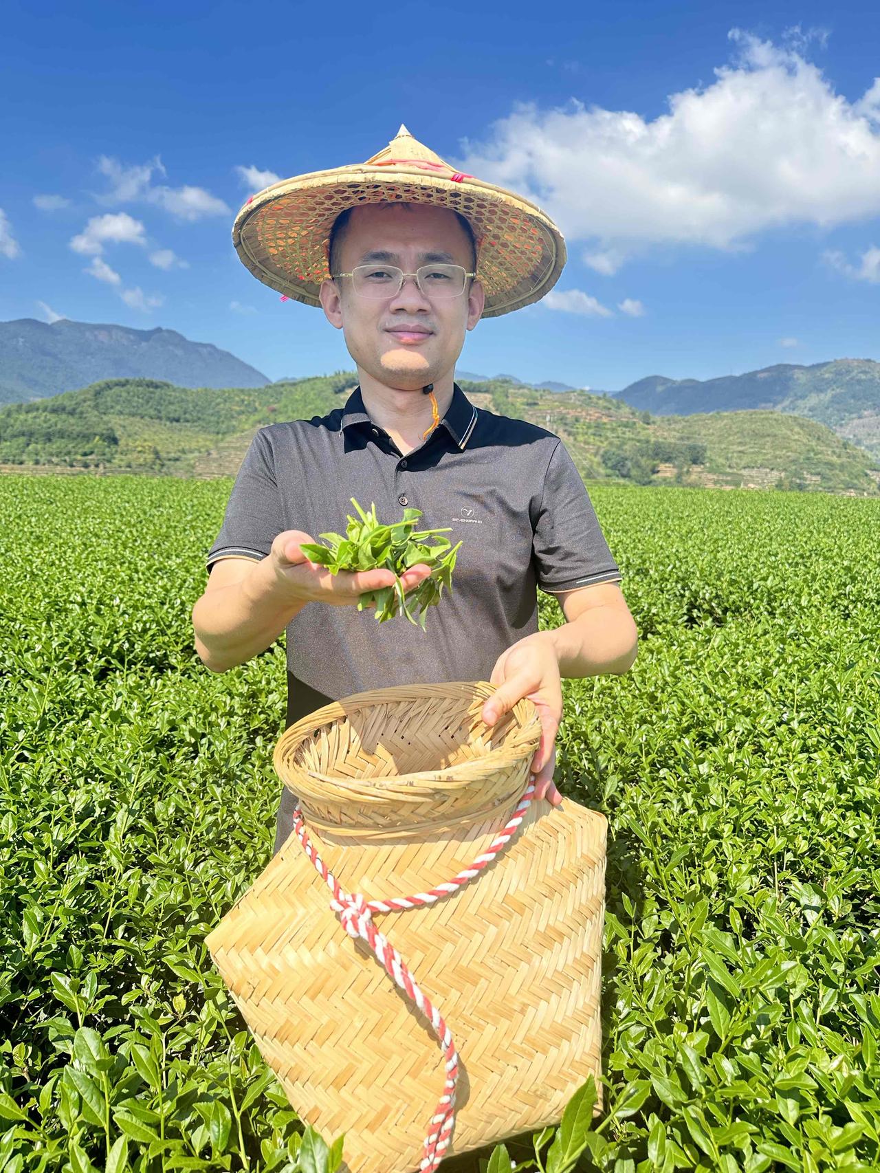 在安溪有片高山茶园，是我家三代人的心血——这里云雾绕山，红壤透气，长出来的铁观音