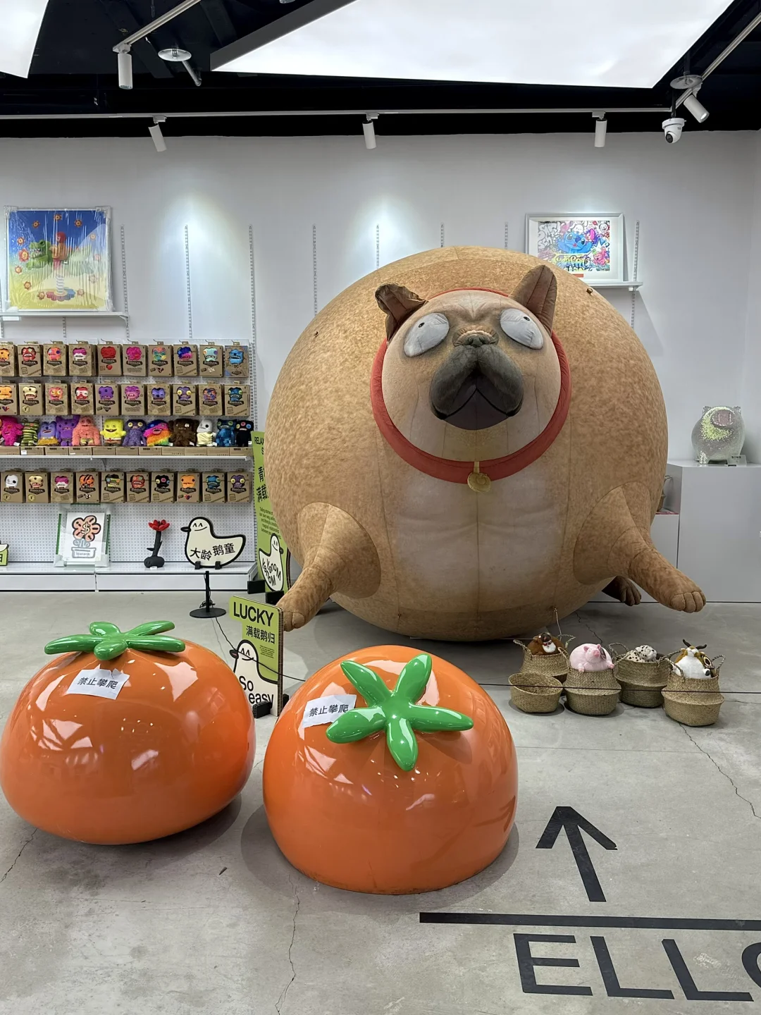 苏州超级好逛好拍的店📷还能免费看画展🎨