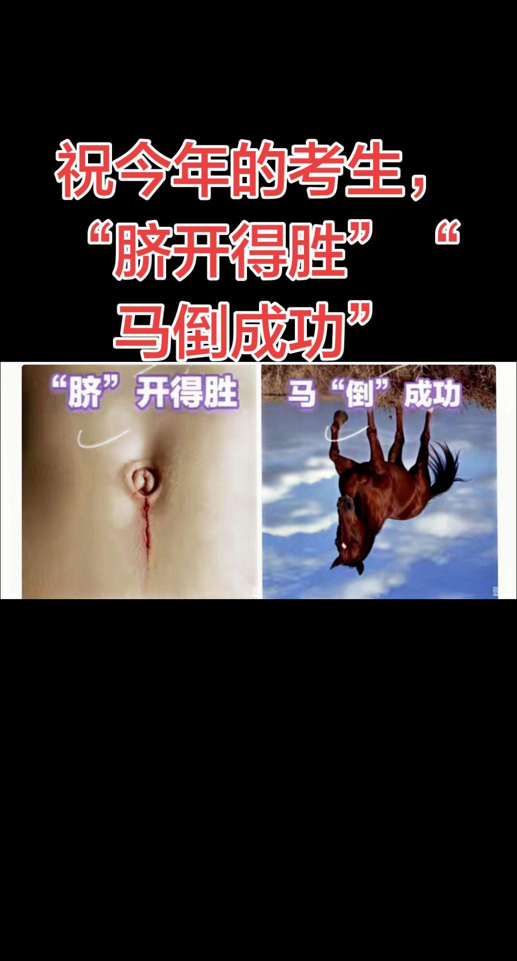 祝今年的考生：
“脐开得胜”“马倒成功”