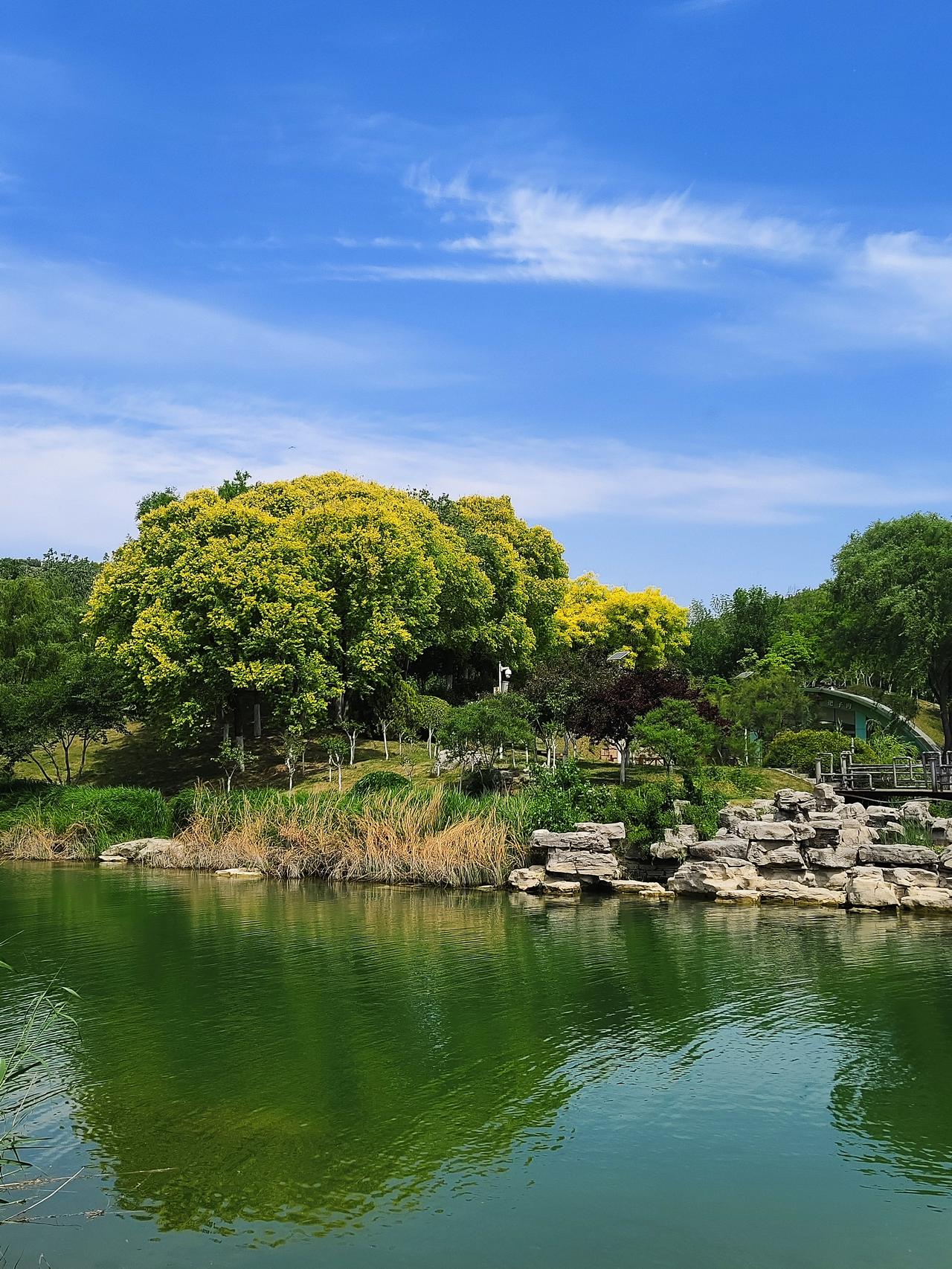 乘着地铁去游玩，今天早上，老头突发奇想——想乘着地铁去济南长清湖，从家门口乘地铁