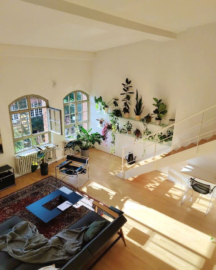 理想中的家 🍃 ​​​