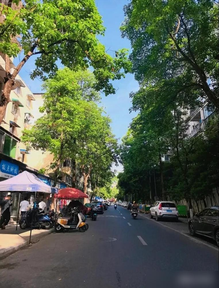 提前通知一声，37天过后，也就是6月5号夜里23点48分04秒，就正式交接芒种了