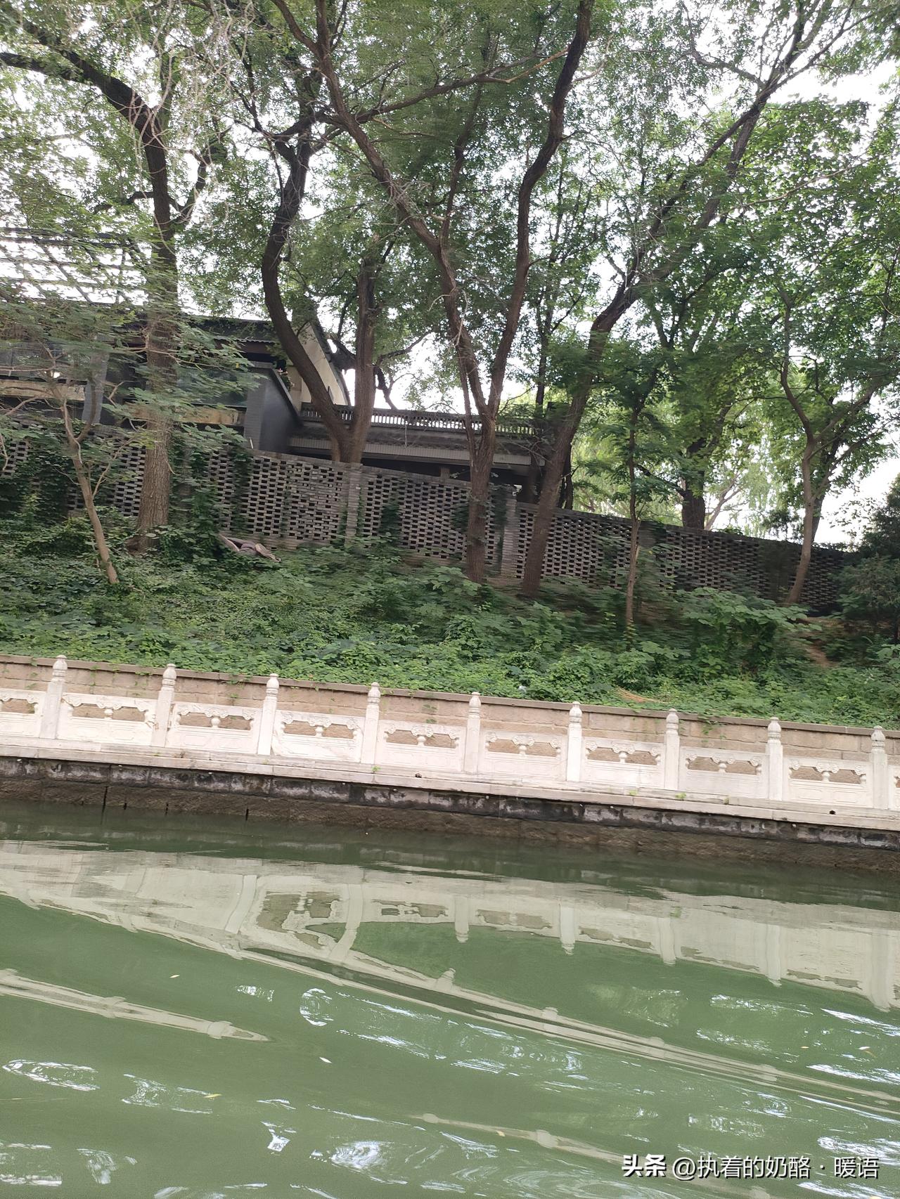 颐和园静谧水岸，绿意盎然，悠然自得。[赞][赞][赞][赞]绿树间漫步影像