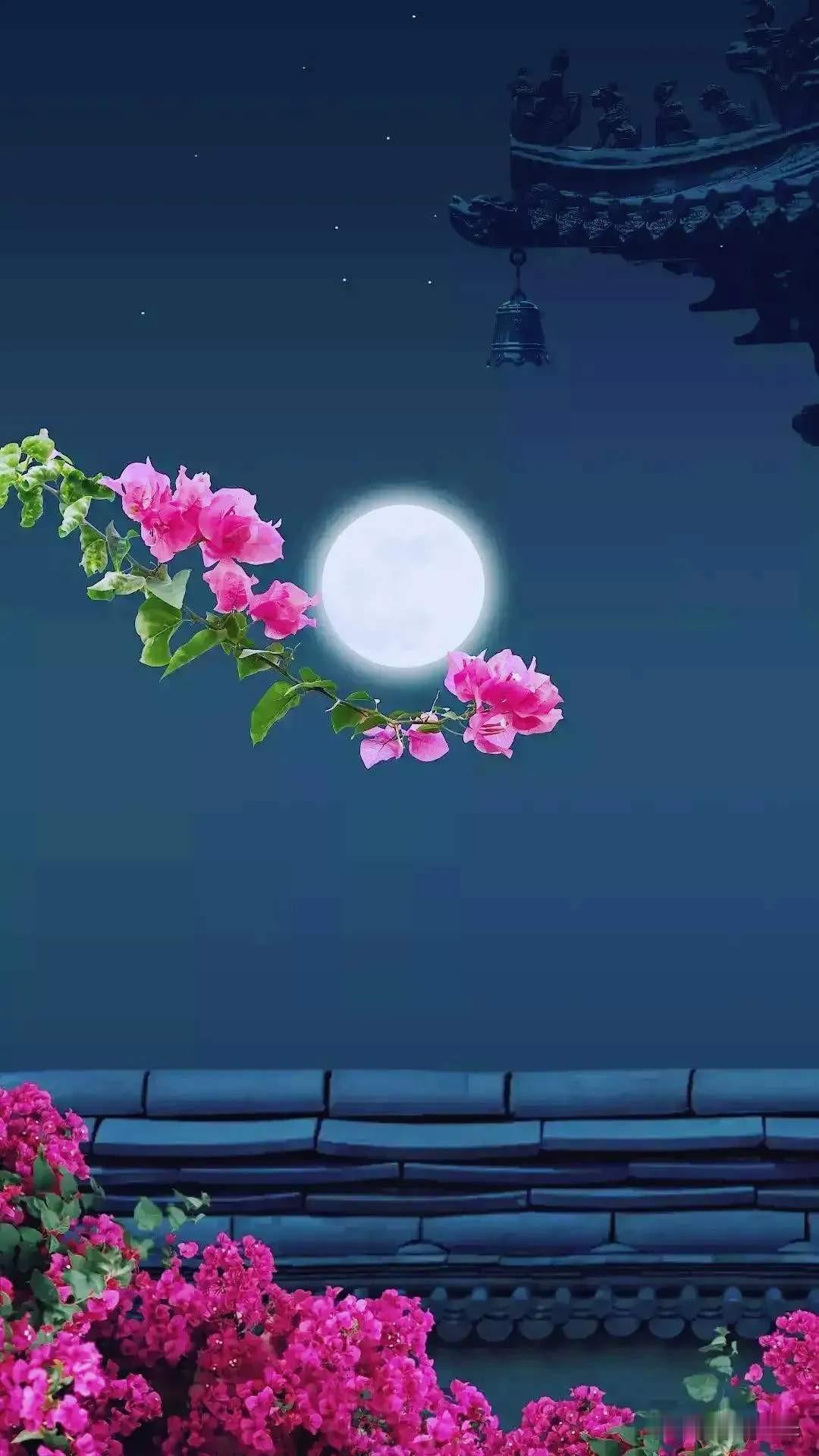 夜晚的月光下，盛开的粉色花朵格外美丽。早上的花儿带着露珠，真是醉了。