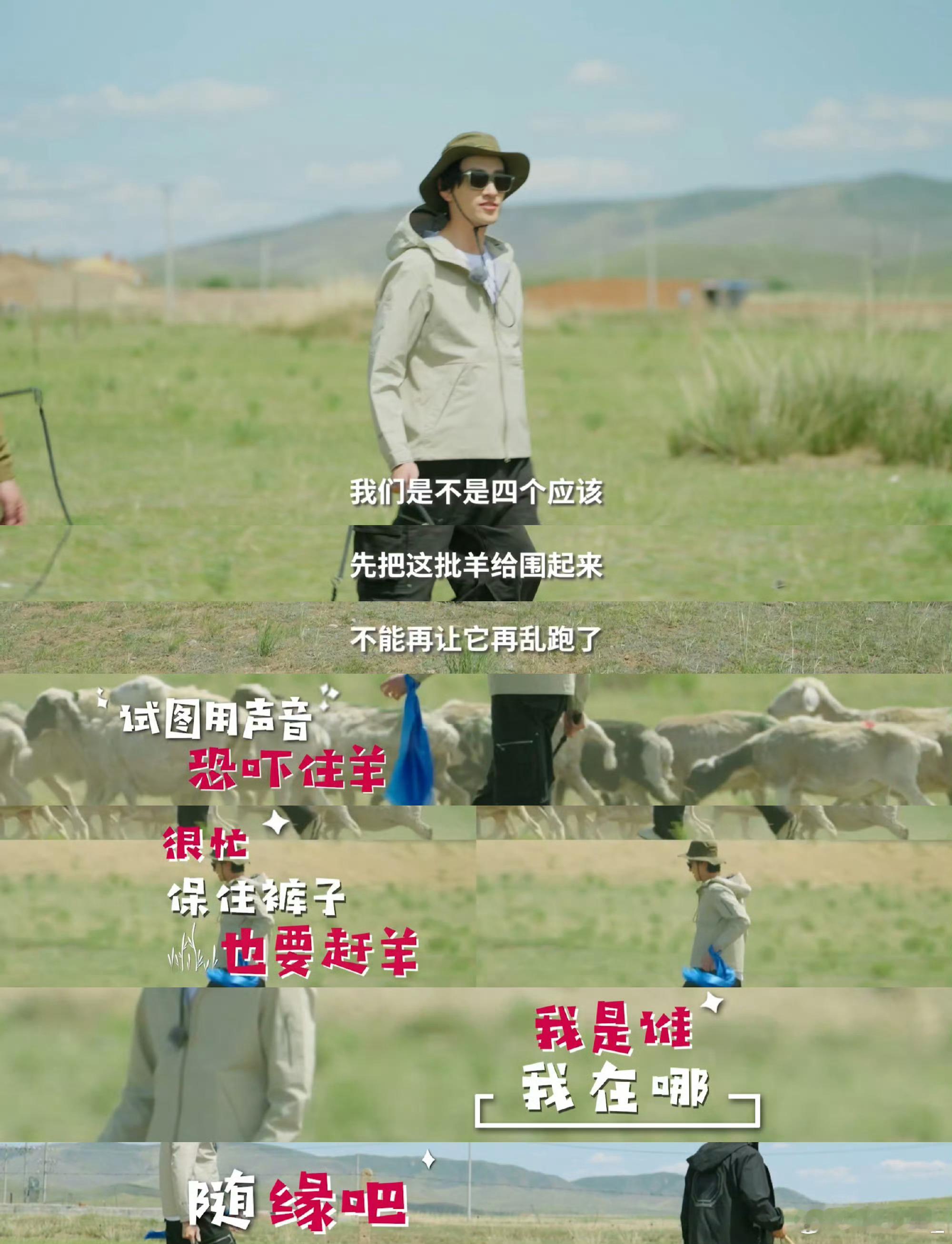 郑云龙在内蒙古赶羊自己吓自己谁能想到舞台上气场超强的，去内蒙古赶羊全程手足无措，