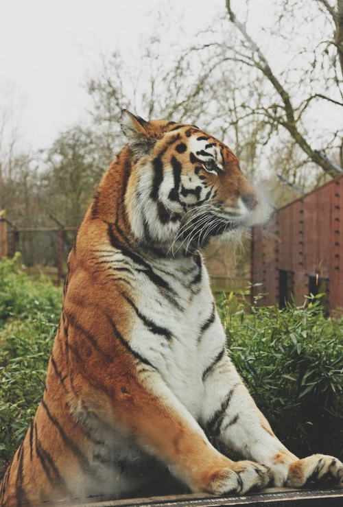 风氺Tip本月的五虎杀位写一下啊。以屋宅的正中心为准，东北52.5°-正东97.