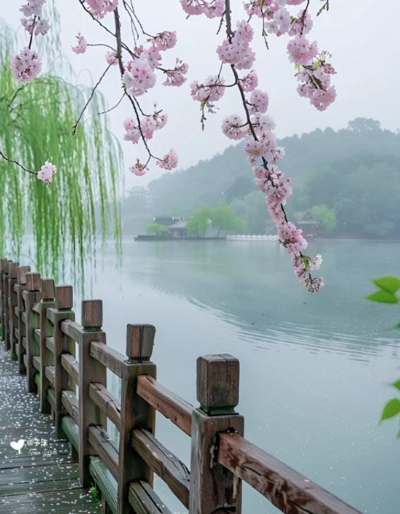多国部队军演，和平还是火药？
亲爱的朋友们大家好，我是海林小百科，今天我们来看看