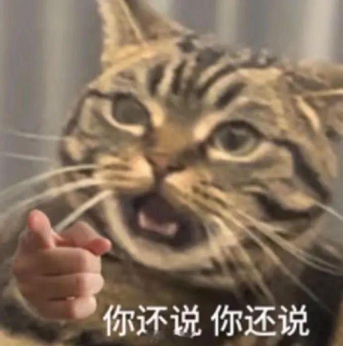 这就像中高考不取消但非得喊减负不让留作业不让排名不让考试到时候还是按分数录取不在
