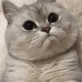 绿油油热品科技