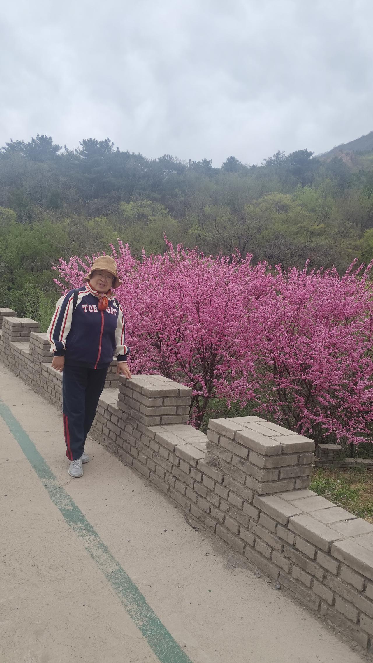 踏青赏花随手拍春日北普陀山风景区，树绿花红，是踏青赏花的好去处，吸氧锻炼身体的好