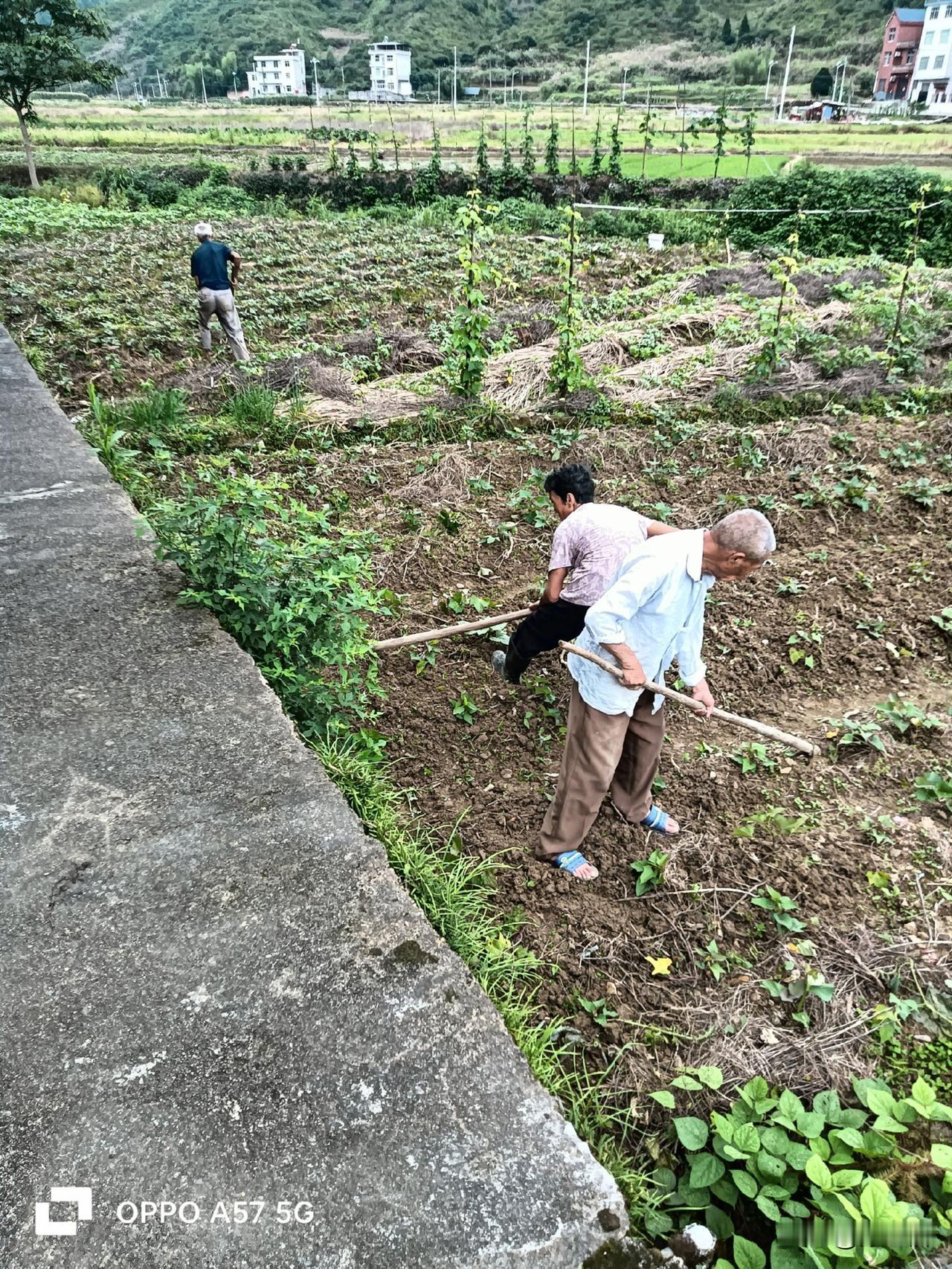 都说读书没用，可所有的父母又都拼命的让孩子去读书，这是为什么呢？