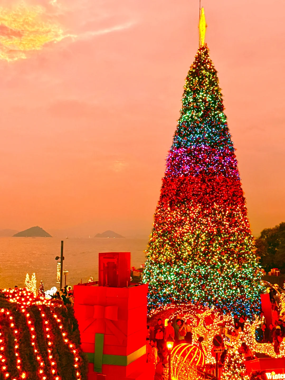 11.24香港海边圣诞树杀疯了‼️live原图直出