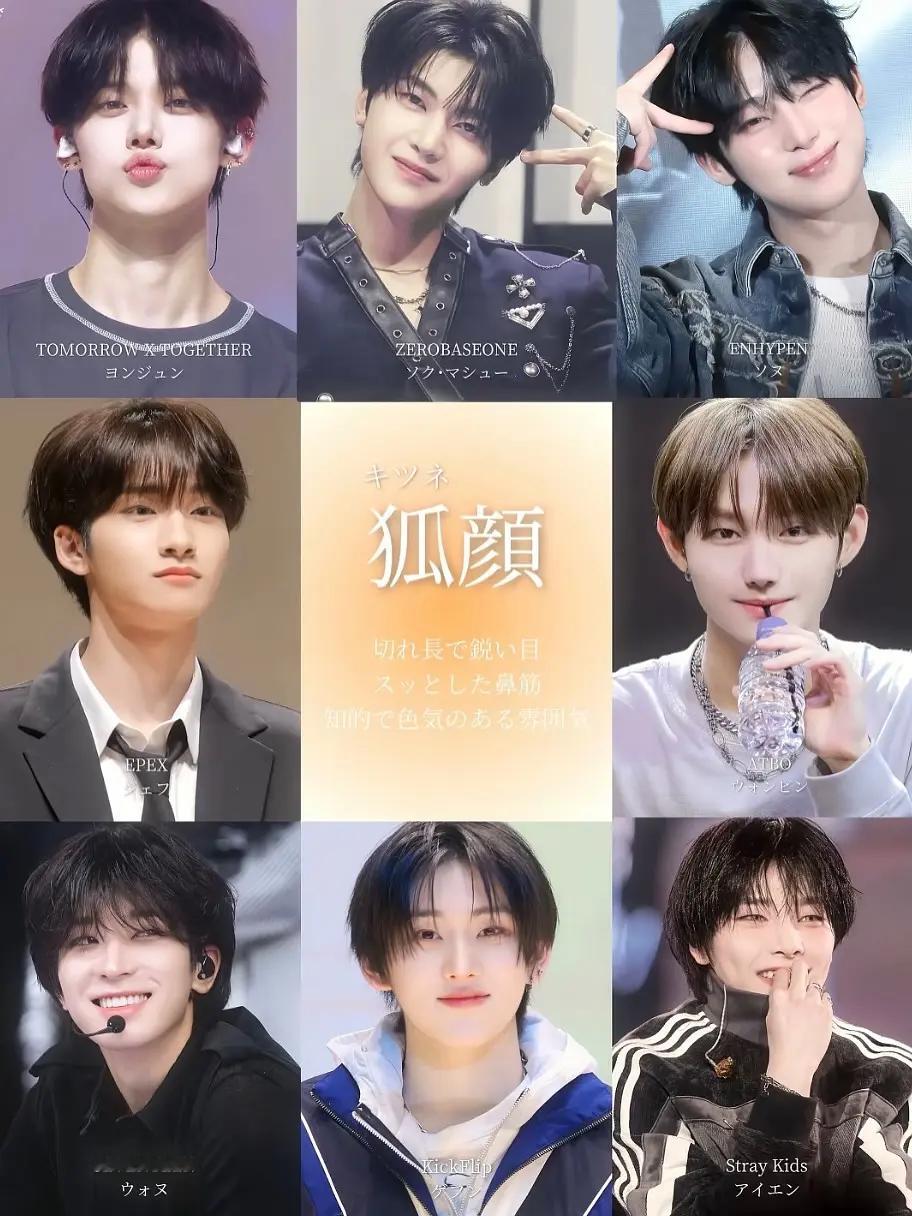 樱花妹做的KPOP男颜分类 