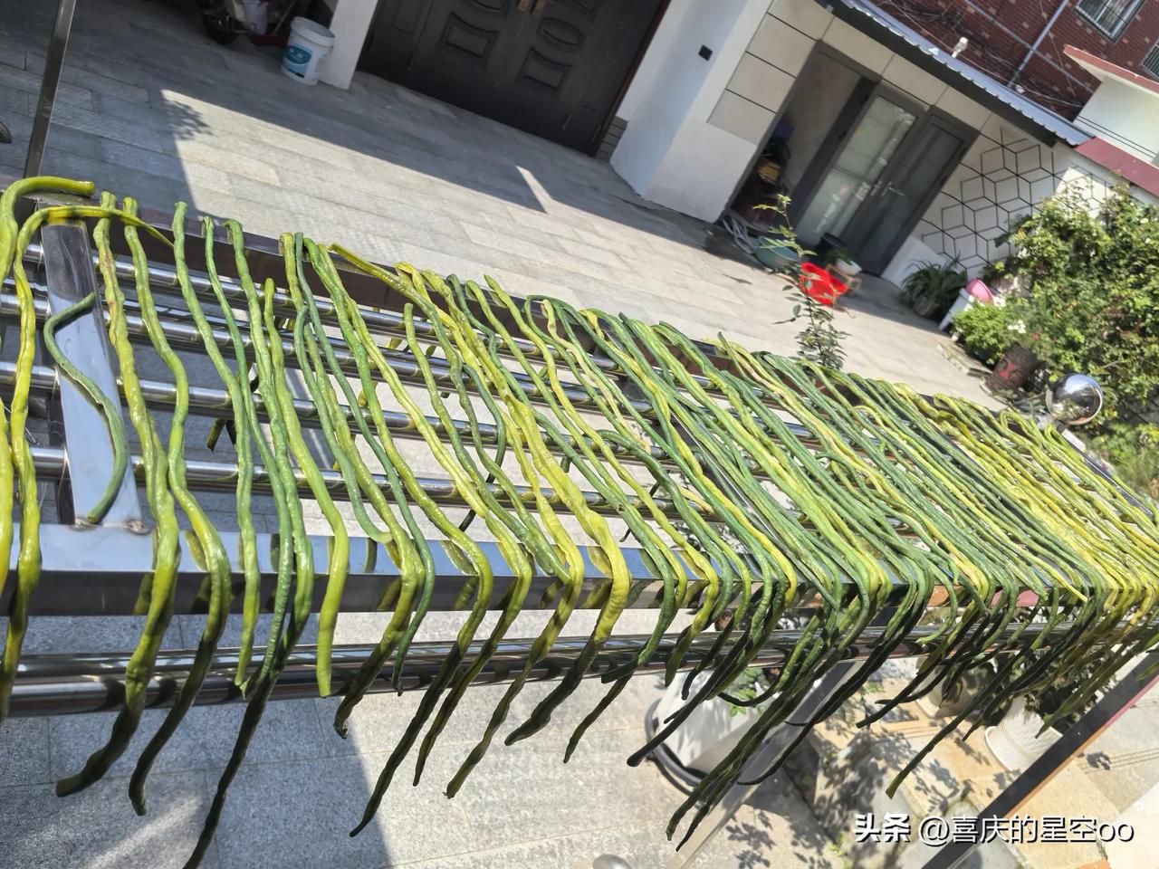 又是豆角泛滥的季节，根本吃不完，怎么处理呢？除了焯水晒干，冬季吃火锅，还有没有其