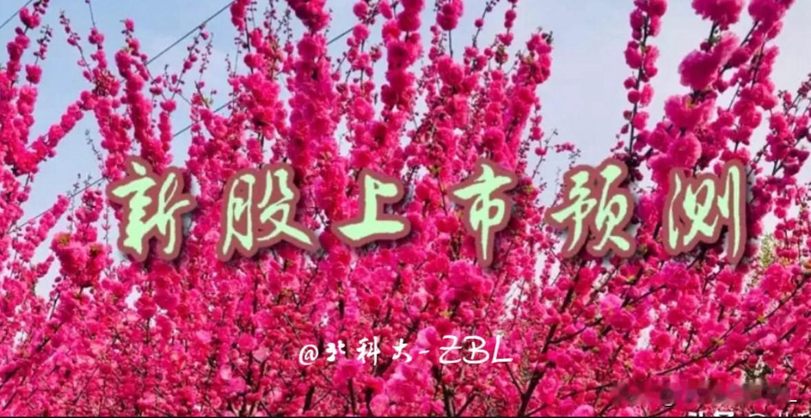 锐翔智能上市价格预测

锐翔智能（920200）5月 15日（周五）在北交所上市