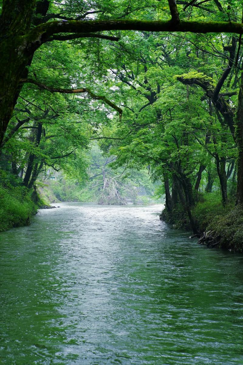 下联：绿水不停流。