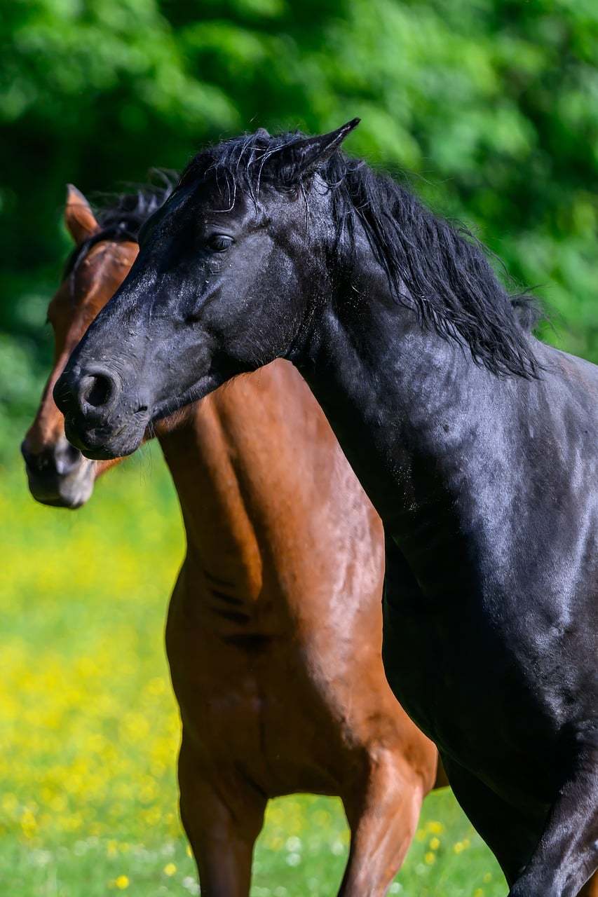 初代蔚来ES8入藏北京汽车博物馆