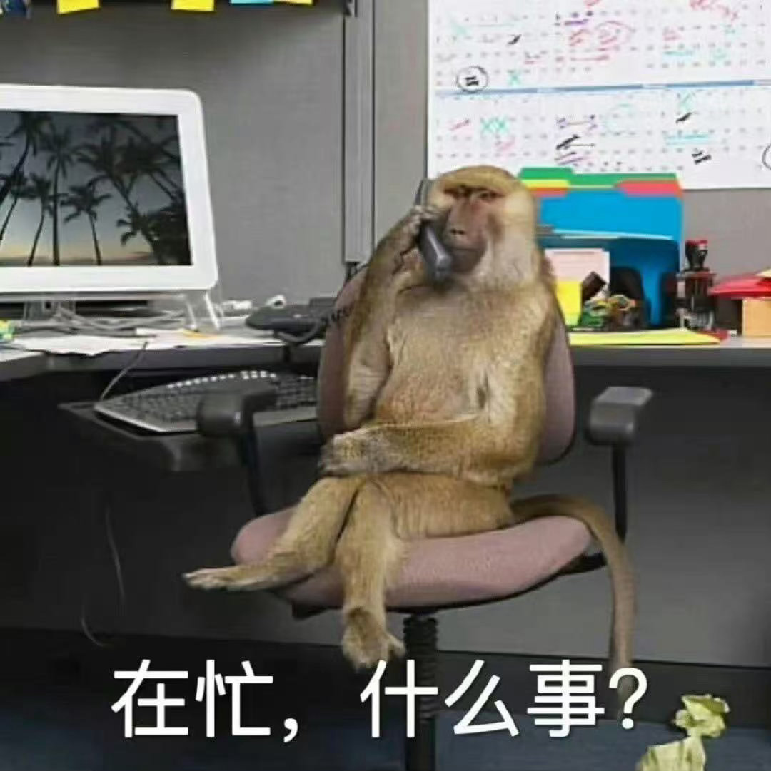 最尊重猴的剧组出现了吗喽爱好者速冲年会2！猴子沉浸式体验职场日常，画面魔性上头。