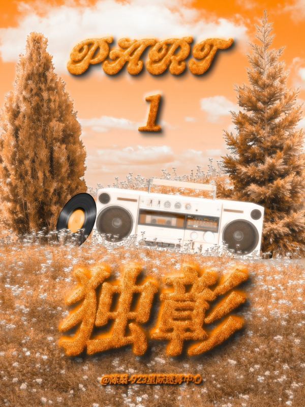 陈燊sjz申请审美积累 