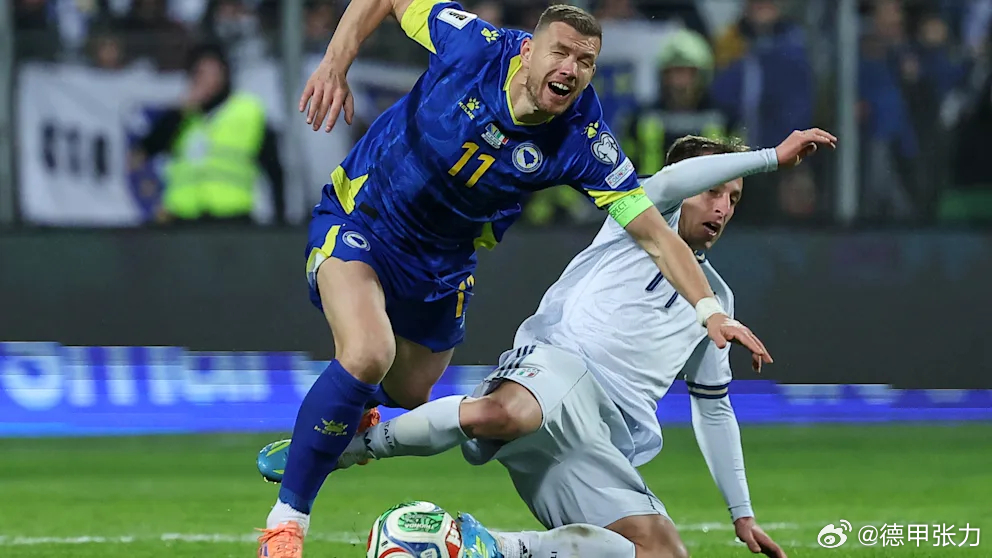 率领波黑淘汰意大利进军世界杯，40岁的老将哲科肩部受伤，虽然不需要接受手术，但是