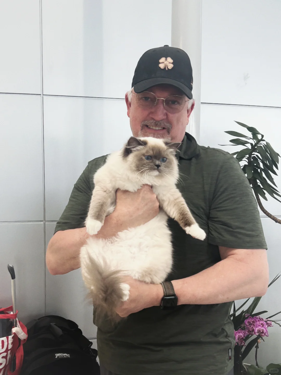 KERR布偶猫｜美国🇺🇸家长亲自来中国🇨🇳