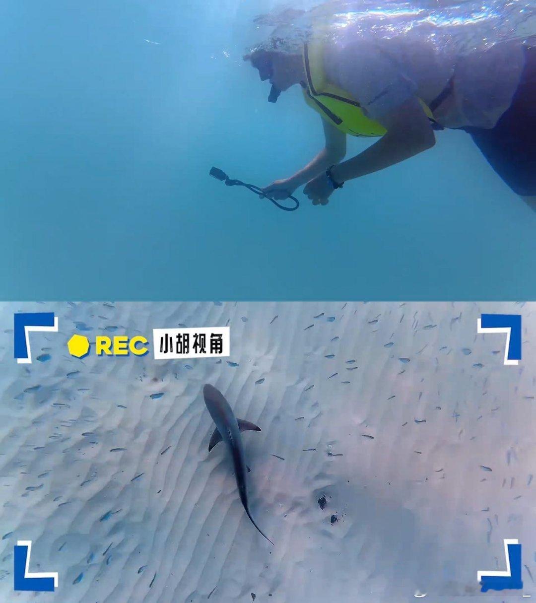 胡先煦把他的活人感带上伊甸了 小胡携《这里没信号》登《伊甸》同款岛，鲜活气撞破