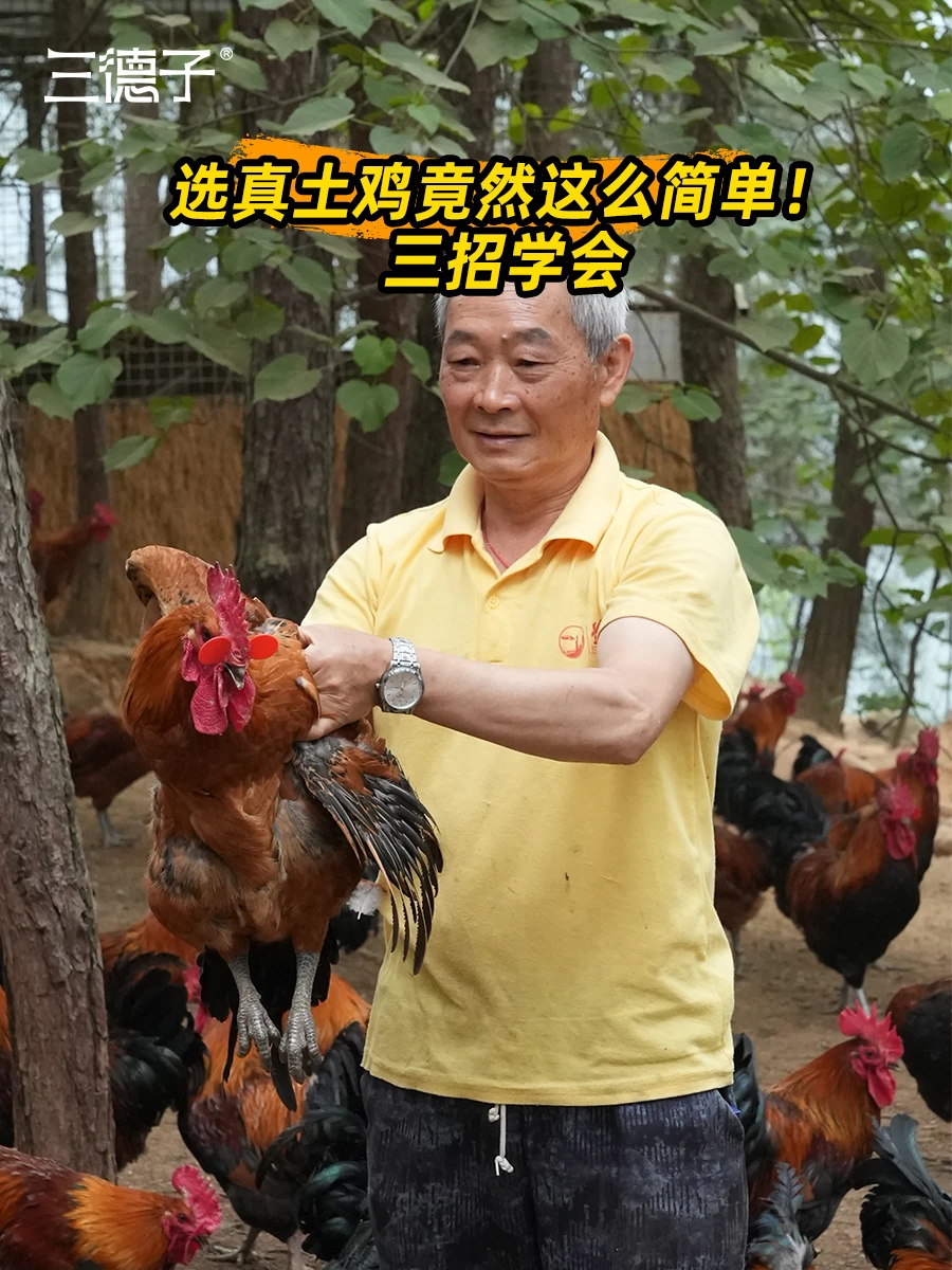 真土鸡怎么选？三招告别被忽悠！