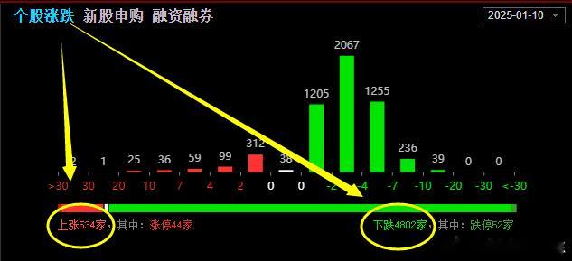 早盘低开基本没什么悬念，情绪也直接干到冰点，4800+下跌，虽然GJD在护盘，但