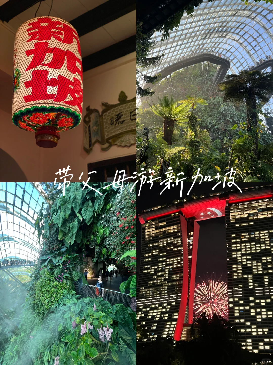 🇸🇬 快来避暑！带爸妈游新加坡实用指南