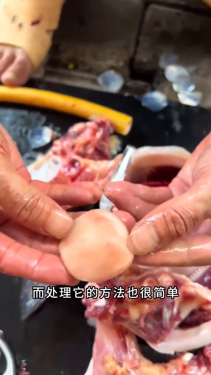简直不敢相信，腥味最重的青鱼脑袋里竟然藏着这么一个大宝贝。很多人不知道，都把它当