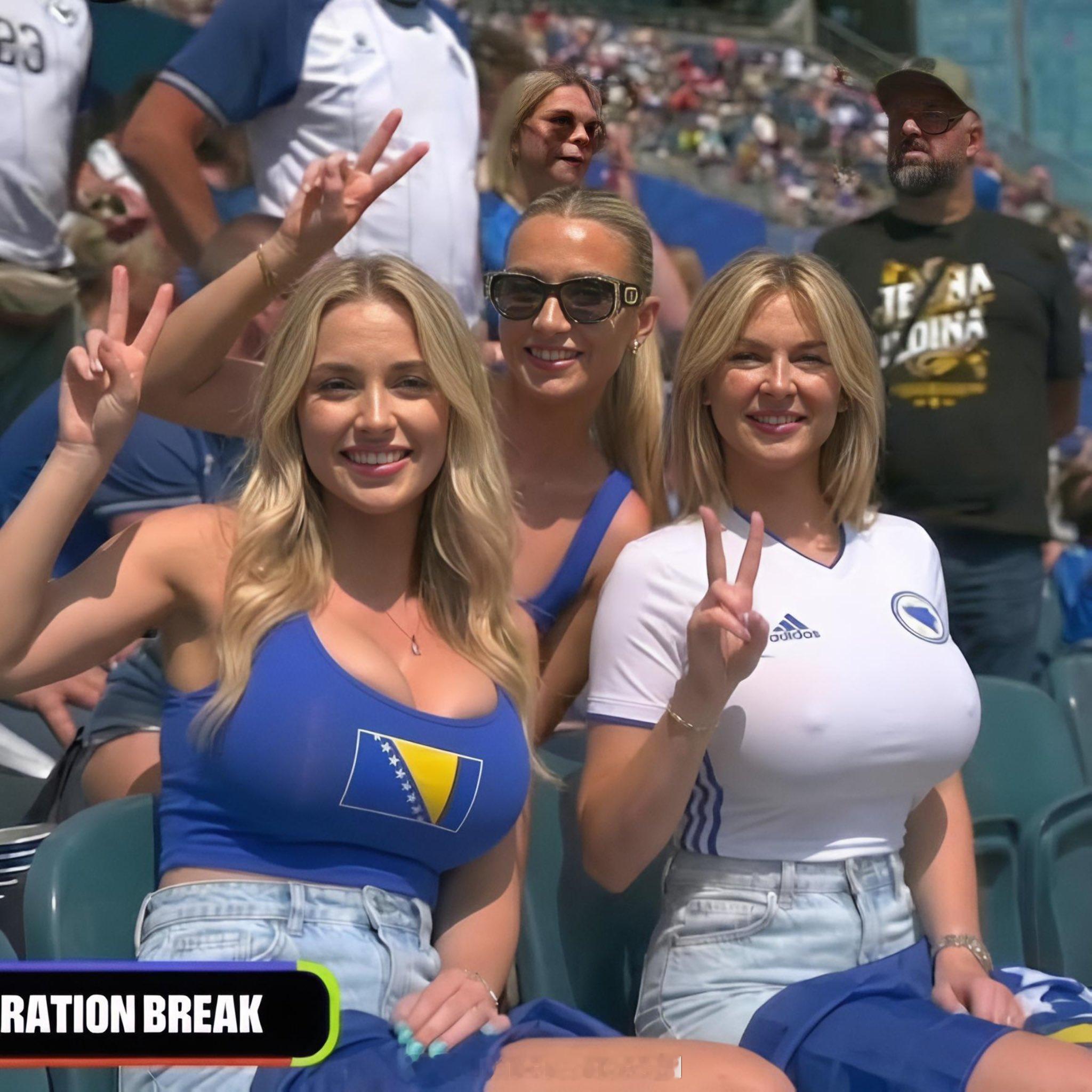 波黑 