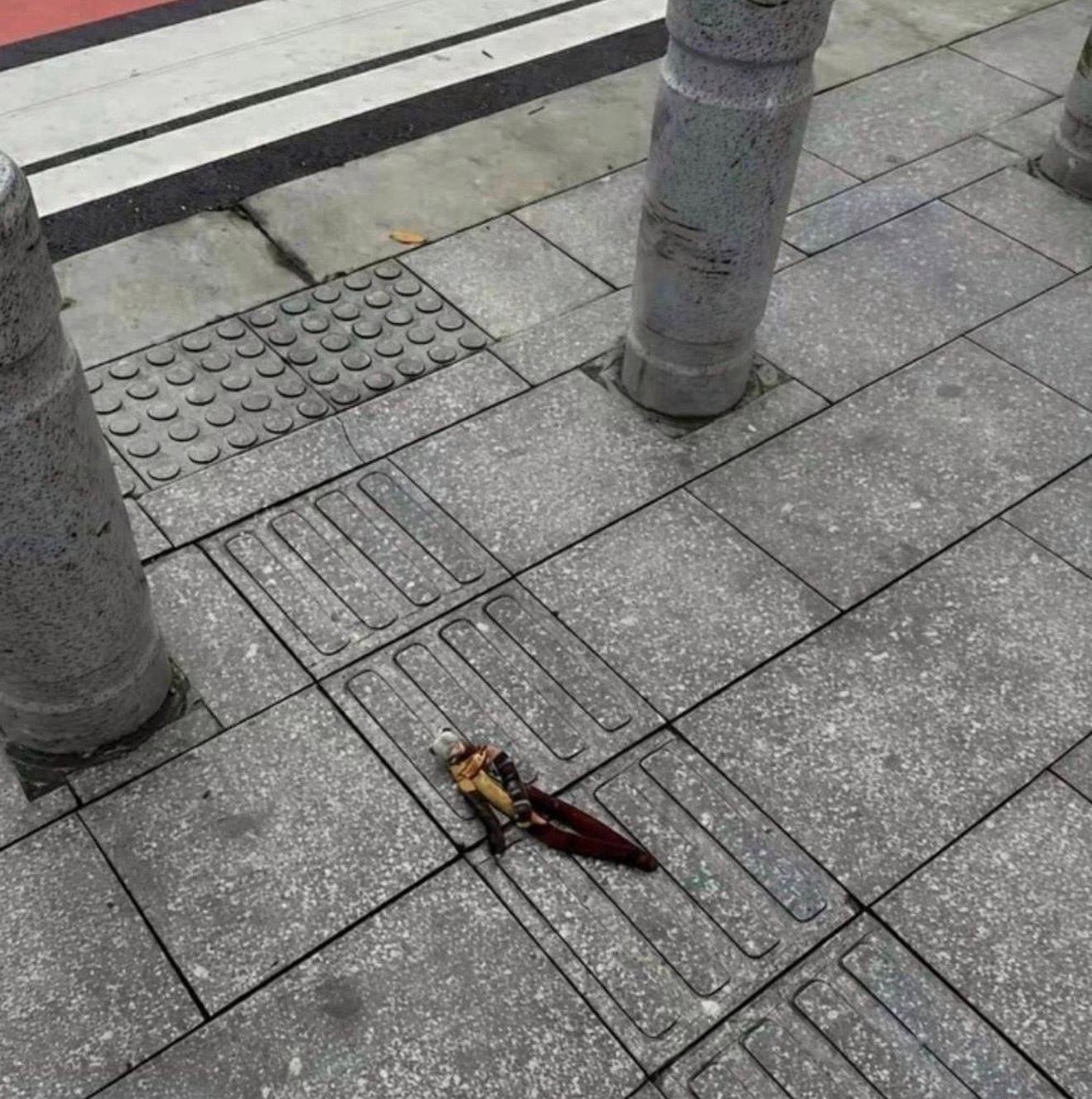 谁男朋友掉在路上了 