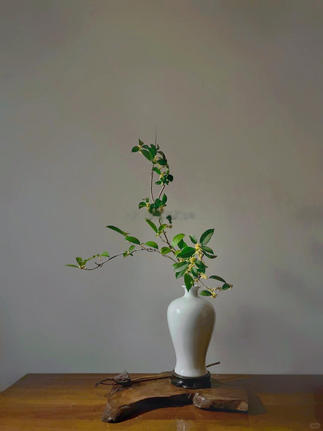 冷知识：古人超爱用桂花插花！定枝、配花、填空、拉线，四步就能把秋意请进家～看完我