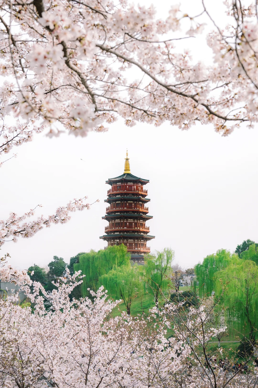 为了这❶❽张图，我去了一趟洛阳（附详细机位）