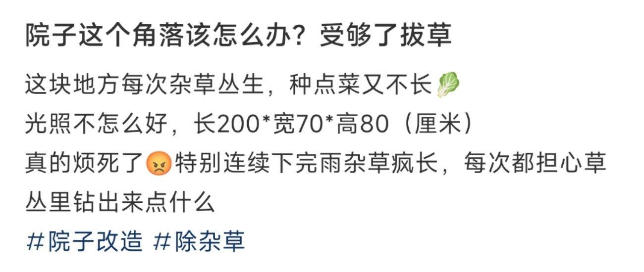 院子这个角落该怎么办？受够了拔草 ​​​