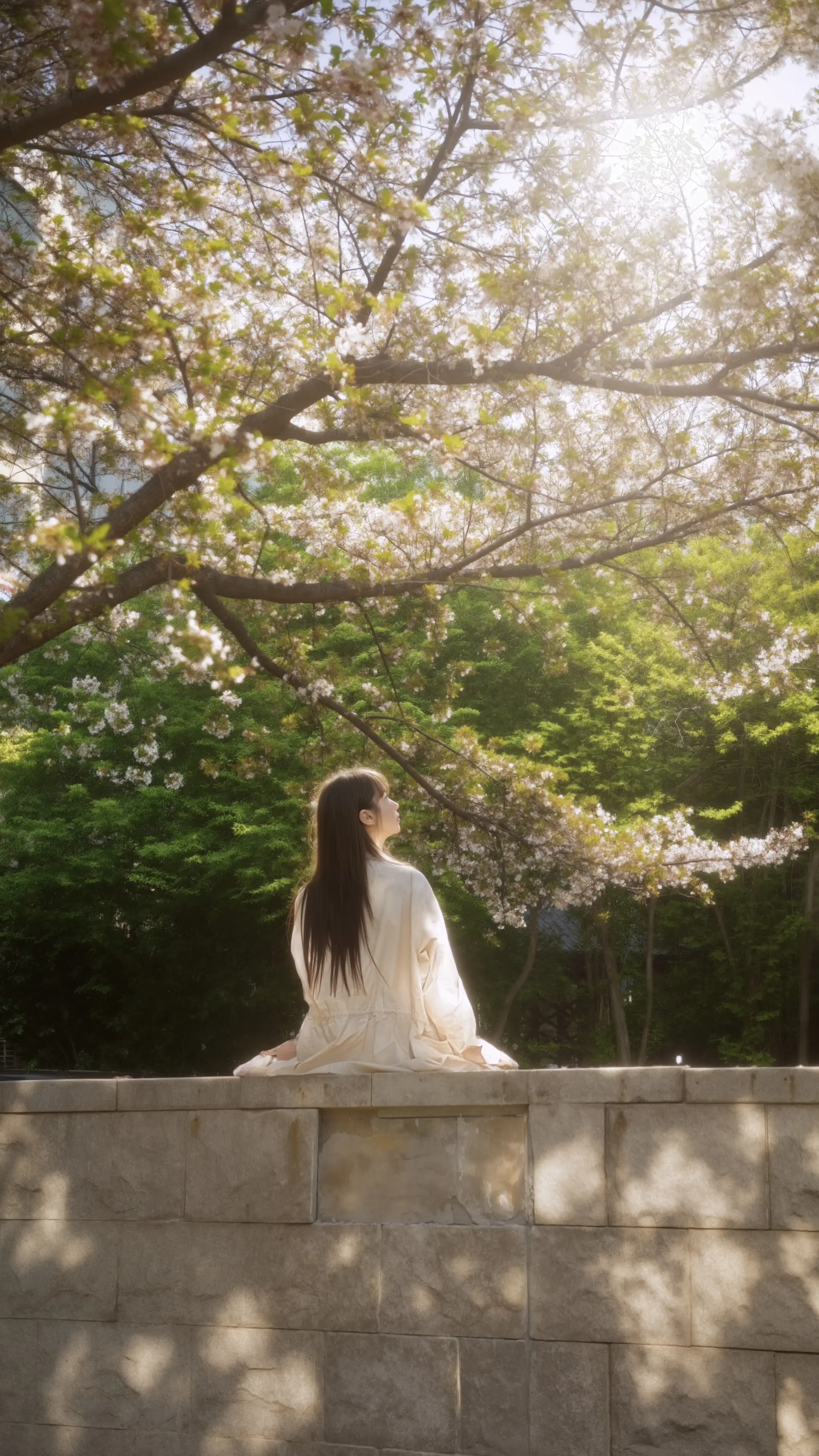 风吹樱落你成诗。