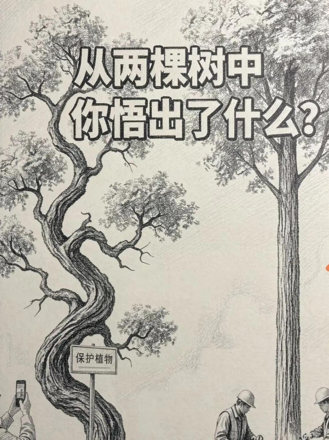 看到了这两棵不一样的树，想起了两位同事，感叹人不能太正直、善良，心眼多、弯弯绕绕